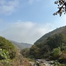 백낙제 플랫하우스 | [가평] 서울근교 풀빌라 독채펜션/백낙제플랫하우스 FL2 객실/ 가격정보/후기