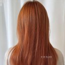 경기도 수원시 권선구 덕영대로1201번길 22 이미지