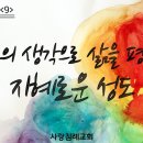 빌립보서 강해 09 - 그리스도의 생각으로 삶을 평가하는 지혜로운 성도 : 정동수 목사, 사랑침례교회, 킹제임스 흠정역 성경, 설교, 이미지