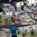 TS태성태권도 아카데미 이미지