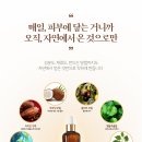 브라운 핏 (BROWN FIT)