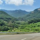 정진목장 이미지