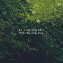 강산광고기획