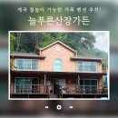 늘푸른황토방펜션 | 완주 늘푸른산장 추천｜아이와 함께 가기 좋은 계곡 펜션 솔직 후기