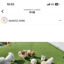 멍린이회관 네이버블로그