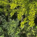 (주)빙글뱅글 이미지