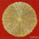 울림기획