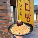 양지실외