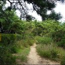 백양산 바람고개 이미지