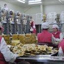 비타민랜드 이미지