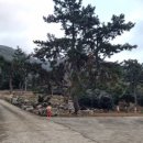 금곡해변민박 이미지