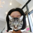 스마일헤어 이미지