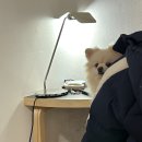 현대오일뱅크 B동 이미지