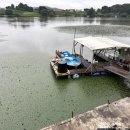 마이제낚시터 이미지