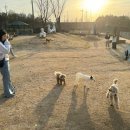 부경주유소 뉴시스