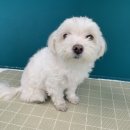 킨더그루밍 이미지