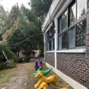 길상초등학교 초지분교 이미지