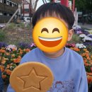 충렬상가시장 | [강릉중앙시장] 주차장/ 강릉바삭이네/ 대게특별시/ 모자호떡/ 배니닭강정/ 월화선물가게/ 무통유턴