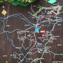 Re: 6월30일(일)의왕 바라산 자연휴양림 산책길 이미지