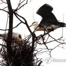 둥지 몸짓의 보금자리 이미지