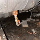 그린피아목욕탕 이미지