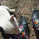 재룡농장 이미지