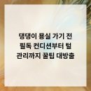 댕댕이묭실 이미지