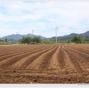 주남마을길 이미지