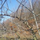 방촌농장 이미지