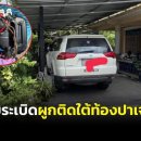[태국 뉴스] 3월 14일 정치, 경제, 사회, 문화 이미지