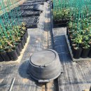 환구농장 이미지