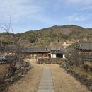 고려동 회관 티스토리