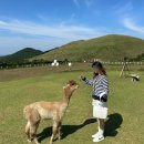 새별안경 | 제주 애월 이색 체험 ::새별프렌즈:: 입장권 할인, 동물 종류, 먹이주기 체험