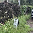 제주 감성 자쿠지 민박 무릇 | [제주] 제주감성자쿠지민박 제주독채펜션 무릇 내돈내산인증방문