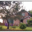 레디젯코리아 이미지