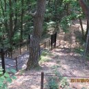 불목농장 이미지