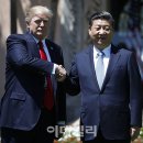 주미상회