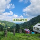 강원도 평창글램핑 코뿔소글램핑 코뿔소방 후기, 해발 780m 오지캠핑장