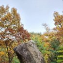 불암산 순환산책로 | 서울 둘레길 3코스 불암산 단풍/ 접근성 좋은 힐링 로드