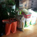 성도어린이집 이미지