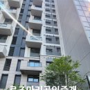 탐라이앤씨 이미지