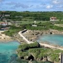 거북이가든 이미지