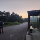 냉천 지초 이미지