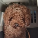 상동행정복지센터 이미지