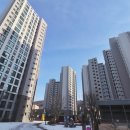 나루초등학교 이미지