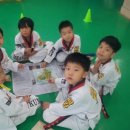 다이어트태권도장 이미지