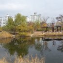 율하체육공원 축구장 이미지