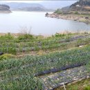 도안농장 이미지