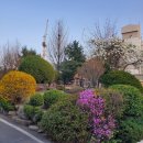 호계작은도서관 이미지