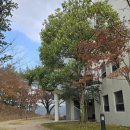 복이네뷔페 | 아난티 남해 | 펜트하우스 B | 1박2일 후기